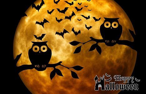 Talleres y cuentos para celebrar Halloween en Alpedrete