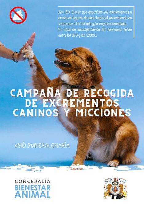 El Escorial lanza ‘Si él pudiera, lo haría’, una campaña de concienciación sobre los excrementos caninos