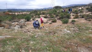 ARBA cuida los bosques de Hoyo de Manzanares