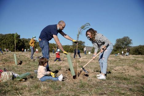 Las Rozas convoca una Gran Plantación Familiar para reforestar el municipio con 3.500 nuevos ejemplares