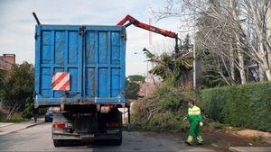 Desde este martes, Las Rozas recogerá de forma gratuita grandes podas