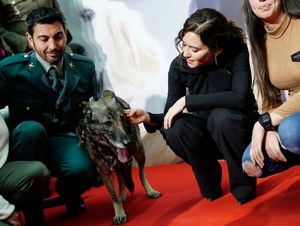 La campaña ‘Adopta un héroe de cuatro patas’ anima a la adoptar perros de los Cuerpos y Fuerzas de Seguridad