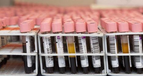 El macromaratón Madrid Dona Sangre recogió 5.725 donaciones en una semana
 
 