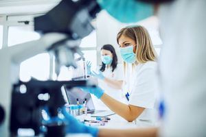 Las Rozas celebra el Día Internacional de la Mujer y la Niña en la Ciencia con seis científicas