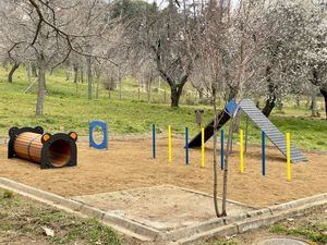 San Lorenzo de El Escorial estrena una nueva pista de agility en el parque de La Ladera