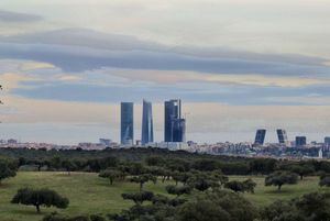 Ecologistas en Acción pide que se integre el Monte de El Pardo en el Parque Regional de la Cuenca Alta del Manzanares