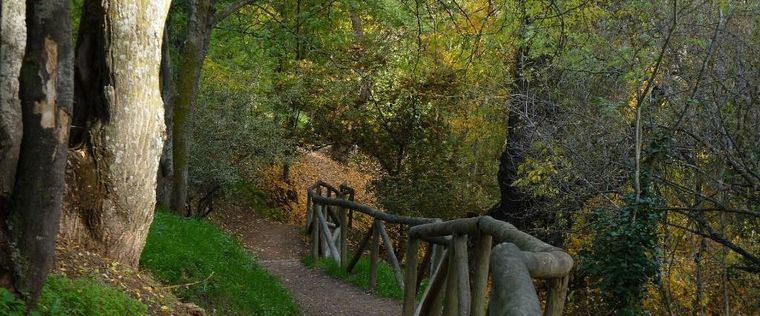 Ecologistas en Acción pide que se integre el Monte de El Pardo en el Parque Regional de la Cuenca Alta del Manzanares