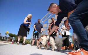 El Centro Comercial Planetocio se une a la campaña ‘Perros buenos, bienvenidos’ del Ayuntamiento de Collado Villalba