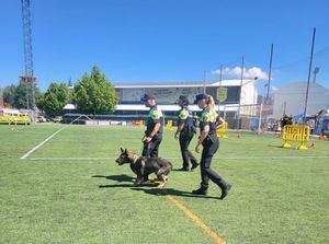 Éxito de la II Exhibición Canina de las Fuerzas y Cuerpos de Seguridad de Collado Villalba