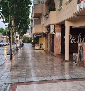 Campaña de baldeo y limpieza de calles y aceras de Torrelodones