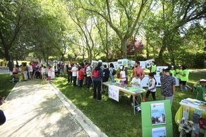 Nuevas actividades para el próximo curso en el Programa de Educación Ambiental de la Red de Ecoescuelas de Las Rozas