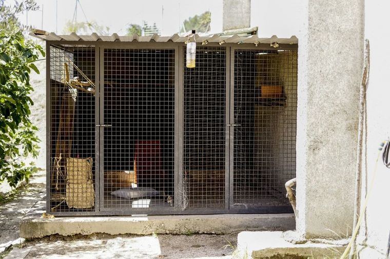 El Ejecutivo de Torrelodones presenta su planes para el Centro de Bienestar Animal, que tendrá un nuevo proyecto