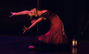 Danza, títeres, música clásica, flamenco… otoño en el Teatro Municipal Las Cigüeñas de Hoyo de Manzanares