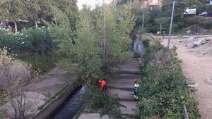 El Ayuntamiento de Collado Villalba realiza la tala preventiva de árboles en el cauce del Guadarrama