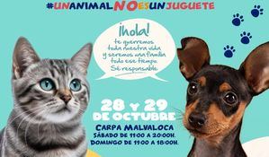 Collado Villalba celebra la III Feria Villalba Adopta con el lema ‘Un animal no es un juguete’