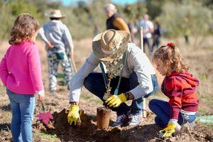 La Gran Plantación Familiar de Las Rozas invita a los vecinos a reforestar el municipio con 3.500 nuevos árboles