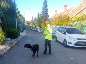 La Policía local de Torrelodones retira un perro peligroso en Peñascales tras varias denuncias vecinales