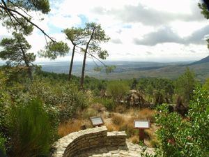 El Arboreto Luis Ceballos de San Lorenzo de El Escorial organiza diferentes actividades hasta final de año