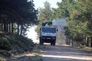 El Ayuntamiento de Guadarrama pide a la Comunidad más trabajos de limpieza y conservación del monte pinar