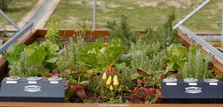 Las Rozas incorpora un huerto robótico al programa de educación ambiental que desarrolla en La Talaverona