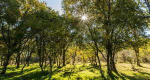 La Comunidad de Madrid inicia los trámites para ampliar el Parque Nacional de la Sierra de Guadarrama
