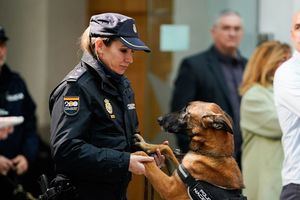 La campaña ‘Adopta un héroe de 4 patas’ promueve la adopción de perros veteranos de Seguridad y Emergencias