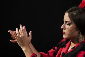 El flamenco, Bien de Interés Cultural de la Comunidad de Madrid por su arraigo histórico en la región