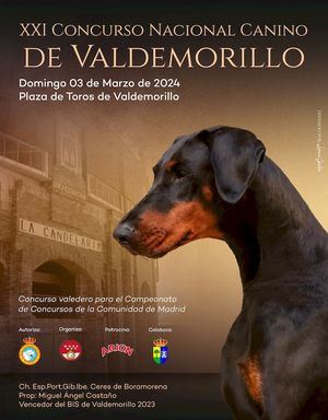 Valdemorillo, sede este domingo 3 de marzo del XXI Concurso Nacional Canino