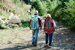 La Mancomunidad THAM propone seis excursiones esta primavera para los mayores de Torrelodones