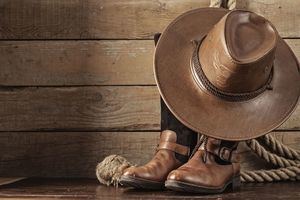 Hoyo de Manzanares acoge este sábado, 25 de mayo, el Country Music Festival