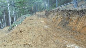 Medio Ambiente paraliza la construcción de la pista forestal denunciada por Ecologistas en el Parque Nacional