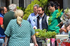 Guadarrama regalará este miércoles pequeños ejemplares de árboles y aromáticas para celebrar el Día del Medio Ambiente