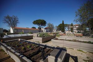 Las Rozas, finalista en los Premios Ecológicos de la Unión Europea 2024