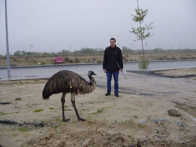 Servicio Integral de Atención a Fauna de Las Rozas: los protectores de la fauna silvestre