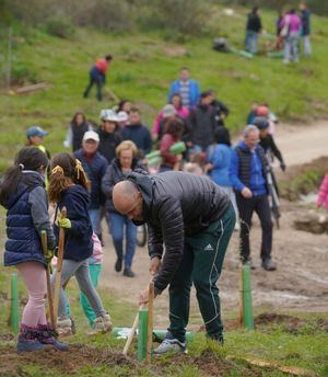 Este sábado, el Centro de Medio Ambiente La Talaverona acoge la Gran Plantación Familiar de Las Rozas
