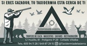 Taxidermia de la Sierra: si eres cazador, tu taxidermia está en Collado Villalba