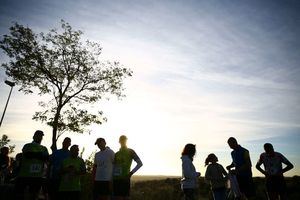 Las Rozas recibirá una subvención de 1,5 millones de euros para implementar una nueva plataforma digital de turismo