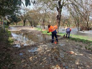 La Comunidad solicita al Gobierno central la declaración de Zona Gravemente Afectada para los municipios que han sufrido daños por las borrascas