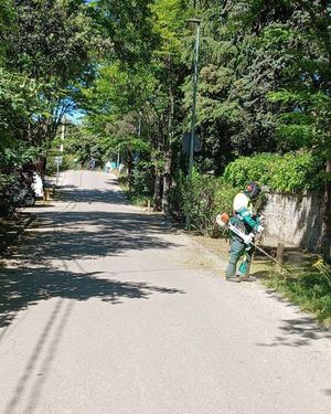 Arrancan los trabajos de desbroce en Torrelodones