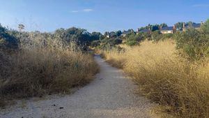 El PSOE de Torrelodones, “preocupado” por la falta de desbroces en el Monte Los Ángeles