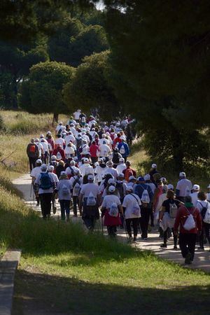 Las Rozas se suma a la Semana Europea del Deporte con diferentes actividades y una carrera solidaria