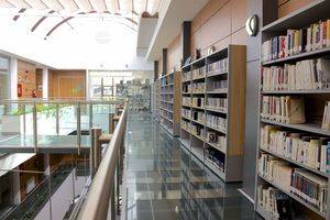 Galapagar busca al visitante 50.000 de su biblioteca