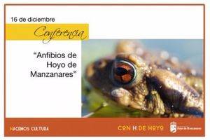 Los anfibios de Hoyo de Manzanares
