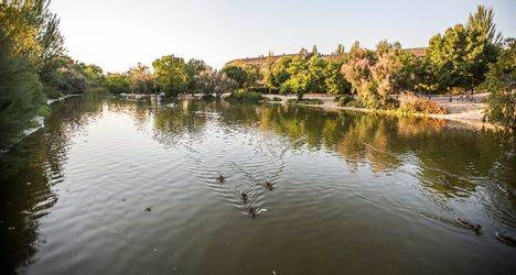 Finalizan las labores de limpieza de los lagos del parque París