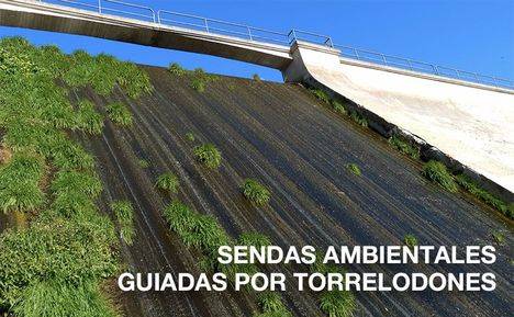 Sendas ambientales guiadas por Torrelodones durante el mes de mayo