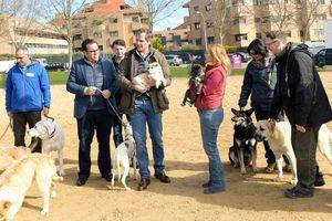 Boadilla ha recogido 160 animales abandonados en los primeros 5 meses del año