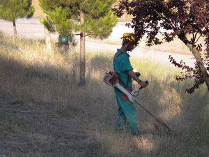 Majadahonda se prepara para evitar incendios con el desbroce de parcelas