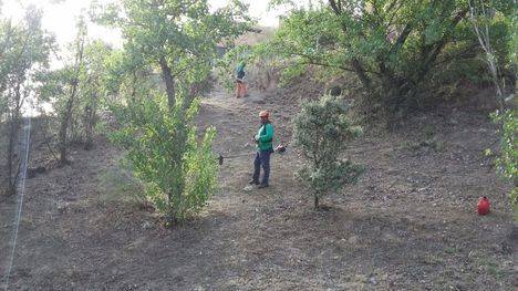 Terminan los trabajos de desbroce en 370 hectáreas de zona natural