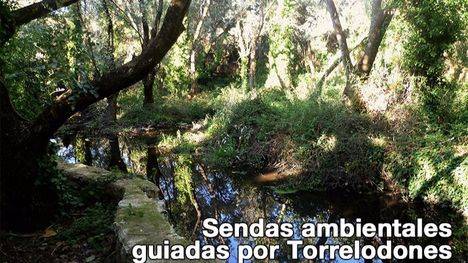 Sendas ambientales guiadas por Torrelodones