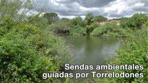 Sendas ambientales guiadas por Torrelodones